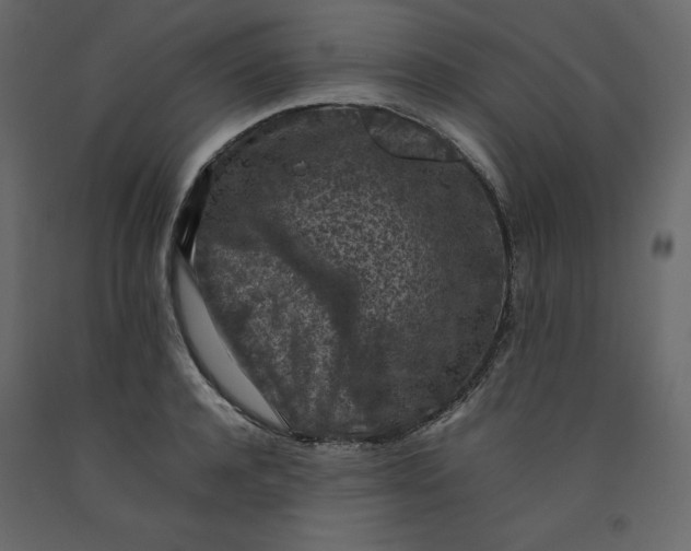X0000092220944200710051155