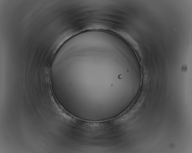 X0000092220945200710051155