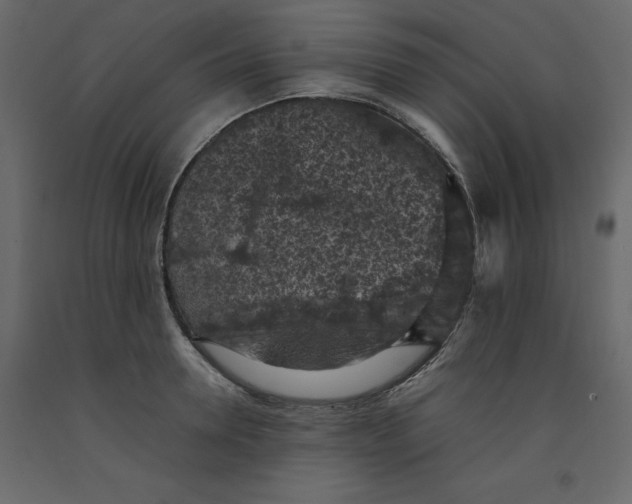 X0000092220946200710051155