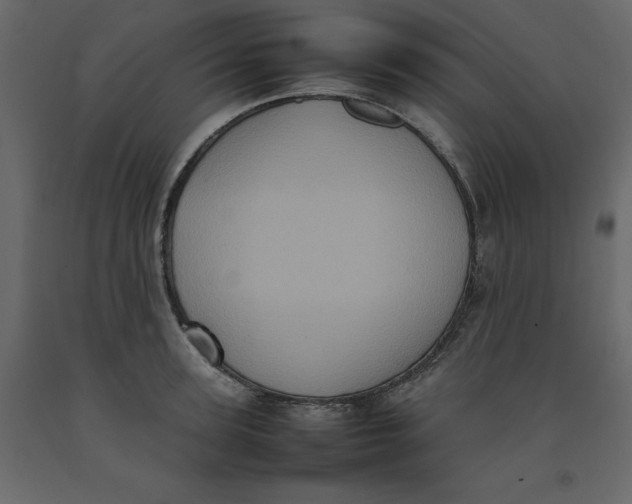 X0000092220947200710051155