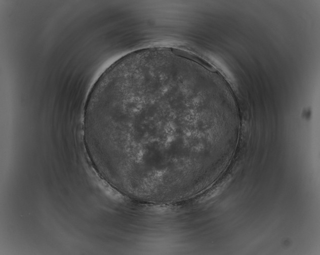 X0000092220948200710051155