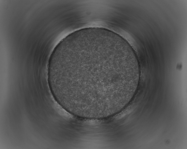 X0000092220950200710051155