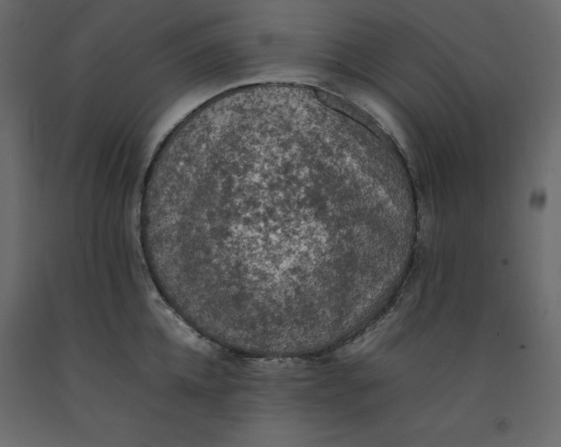 X0000092220952200710051155