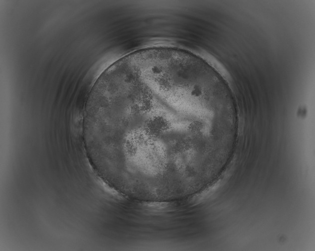 X0000092220953200710051155