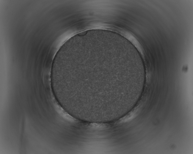 X0000092220954200710051155