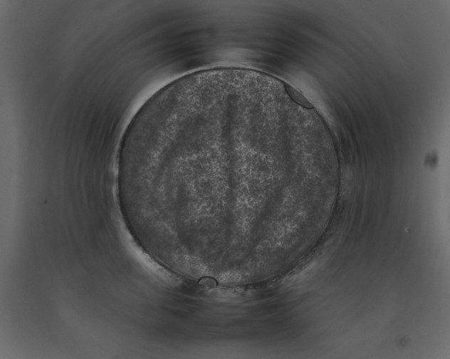 X0000092220955200710051155