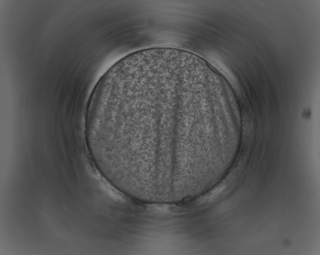X0000092220956200710051155