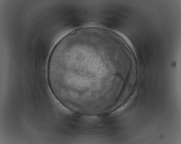 X0000092220957200710051155