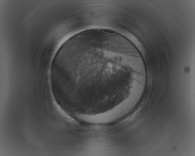 X0000092220958200710051155
