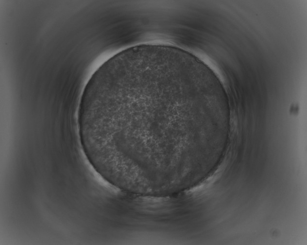 X0000092220959200710051155