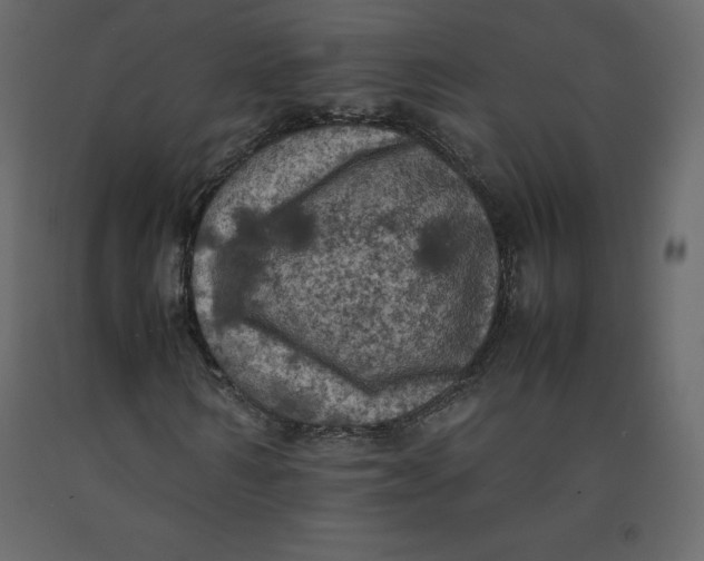 X0000092220962200710051155