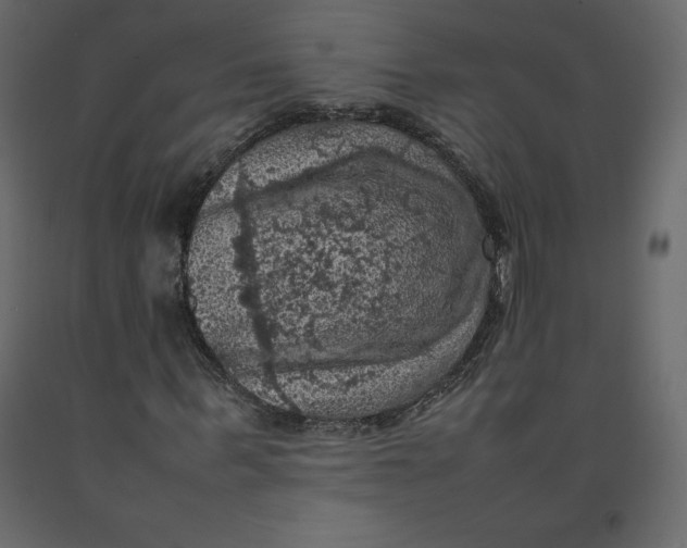 X0000092220963200710051155
