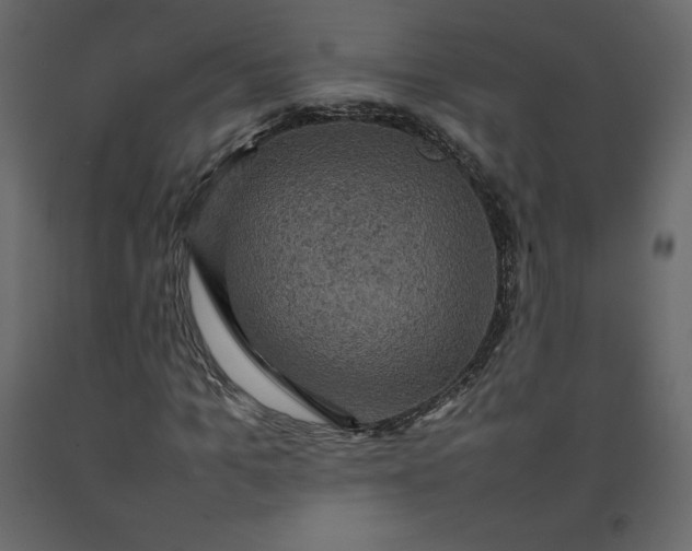 X0000092220965200710051155