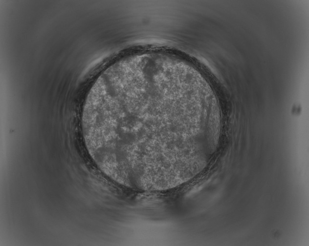 X0000092220967200710051155