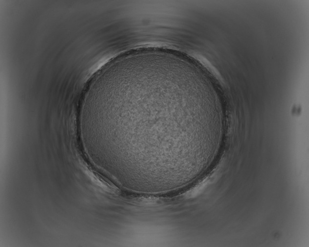 X0000092220969200710051155
