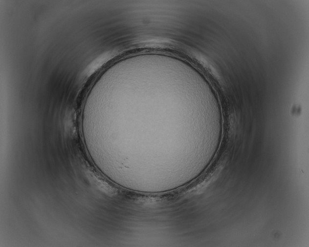 X0000092220970200710051155