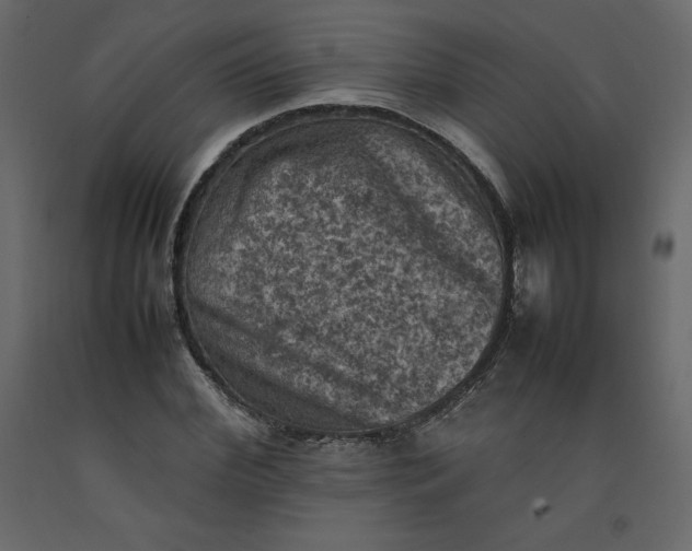 X0000092220972200710051155