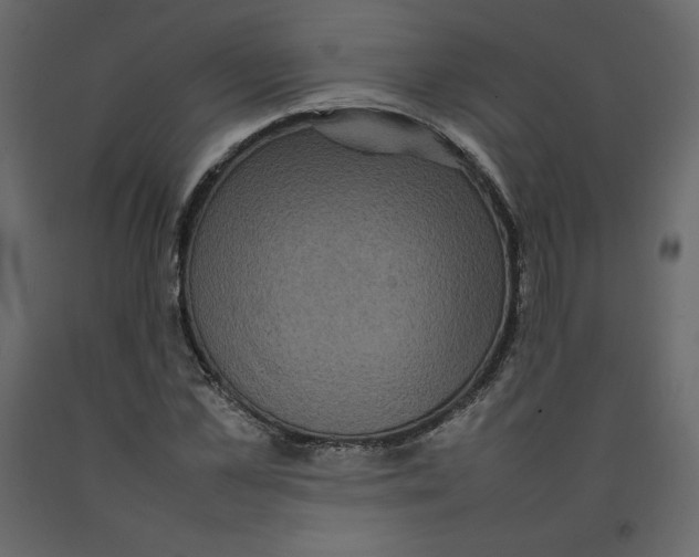 X0000092220973200710051155