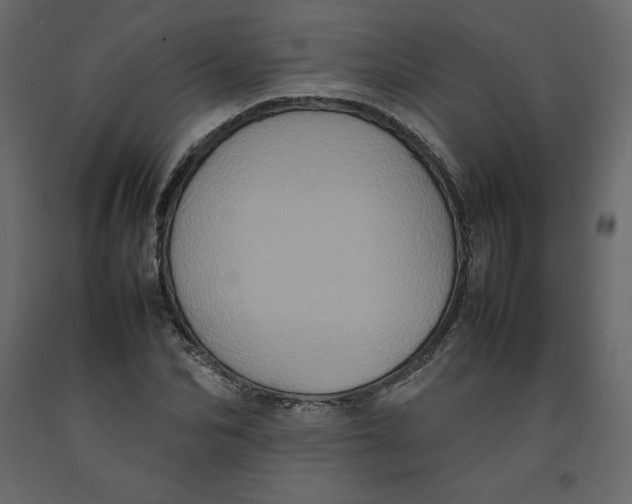 X0000092220974200710051155