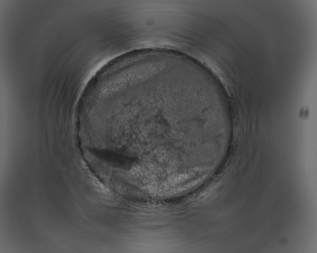 X0000092220975200710051155
