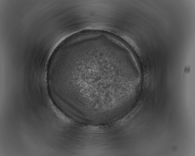 X0000092220976200710051154