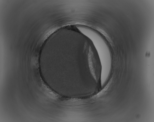 X0000092220977200710051154
