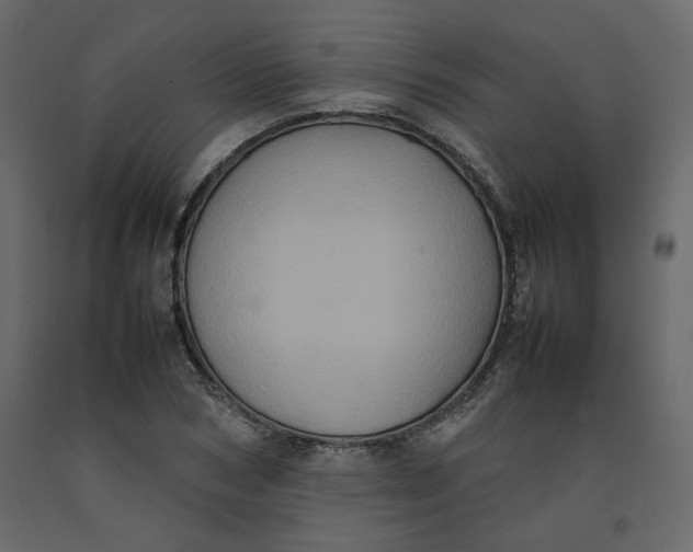X0000092220978200710051154