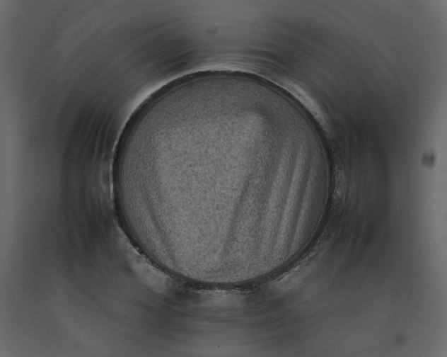 X0000092220980200710051154