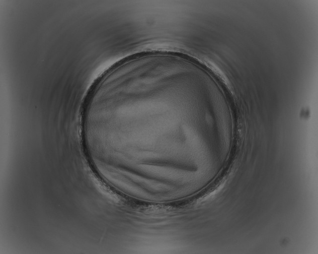X0000092220981200710051154