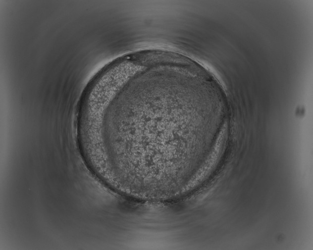 X0000092220983200710051154