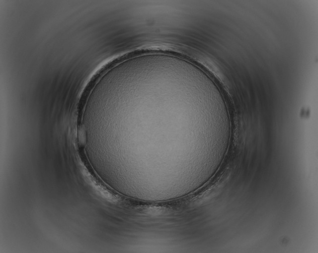 X0000092220984200710051154