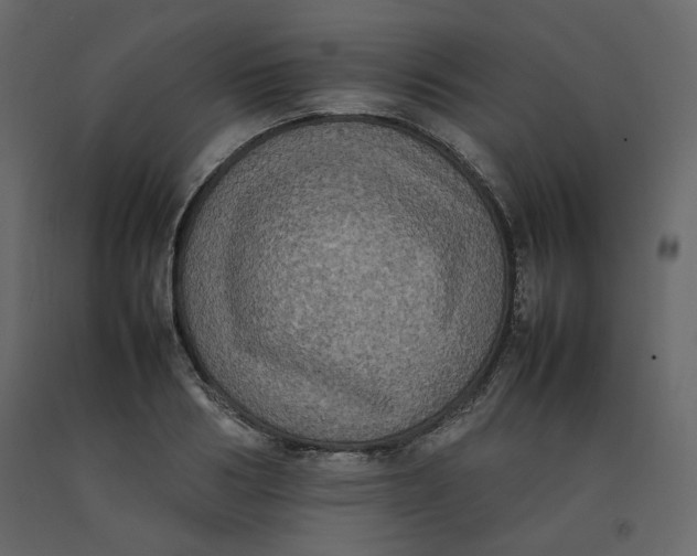 X0000092220986200710051154