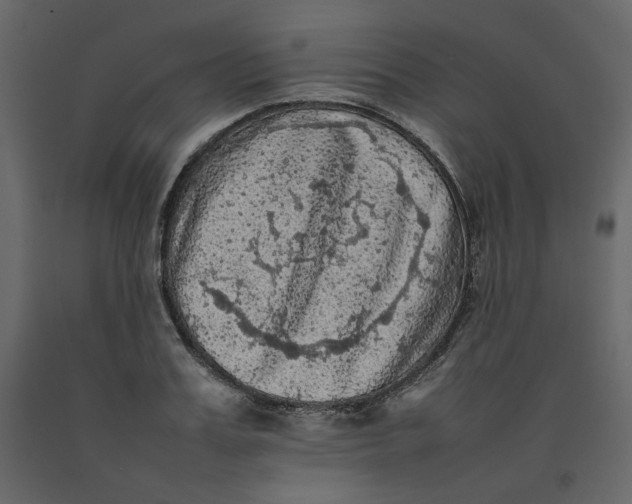 X0000092220987200710051154