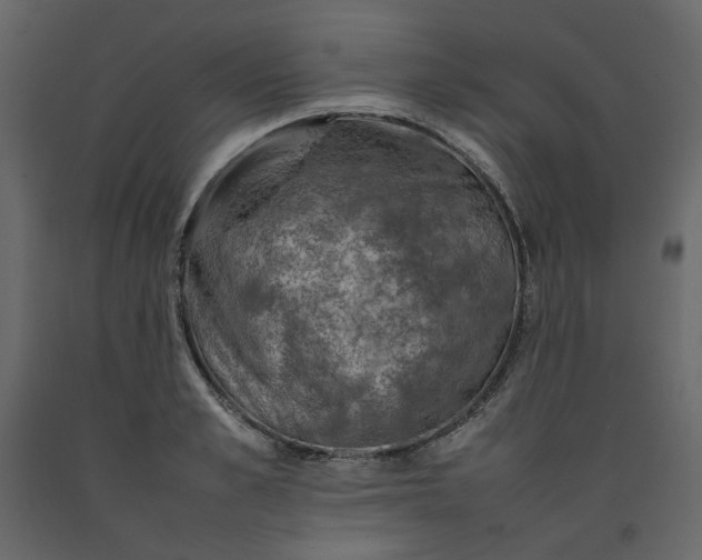 X0000092220989200710051154