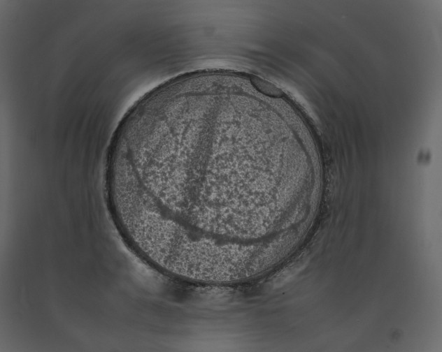 X0000092220991200710051154