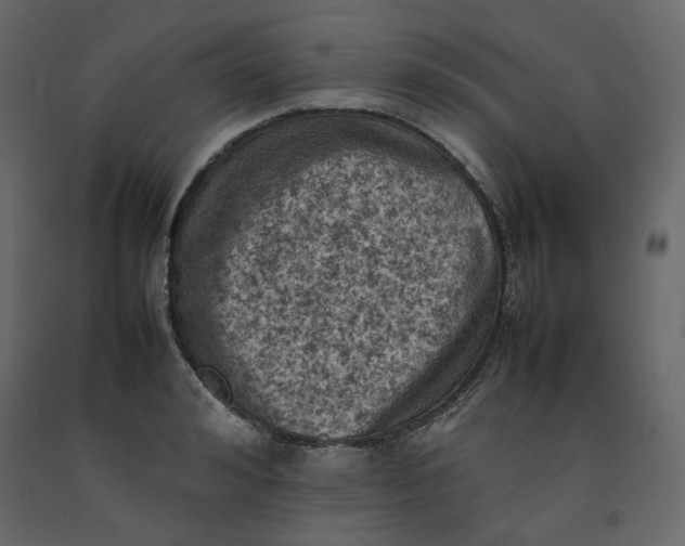 X0000092220992200710051154