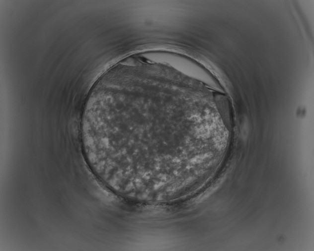 X0000092220993200710051154