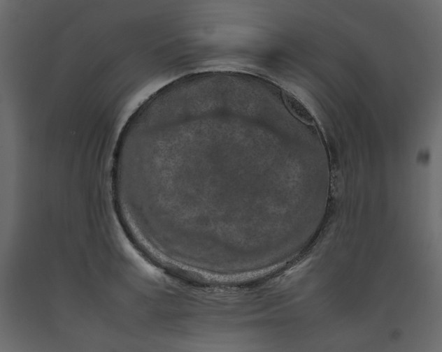 X0000092220995200710051154