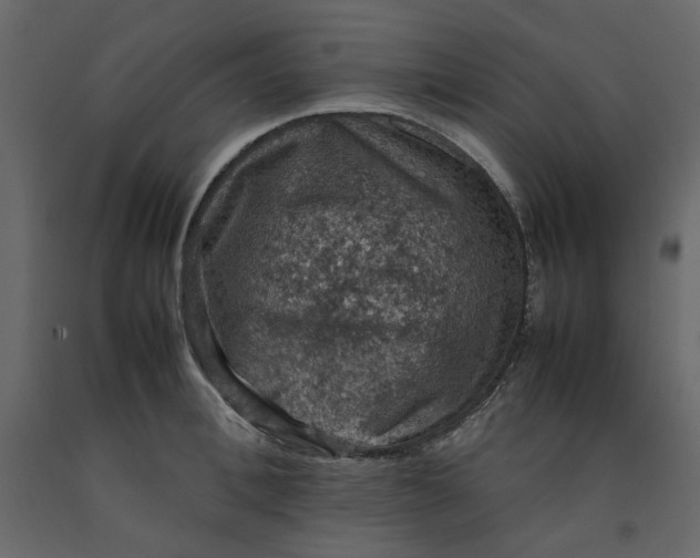 X0000092220996200710051154