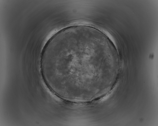X0000092220997200710051154