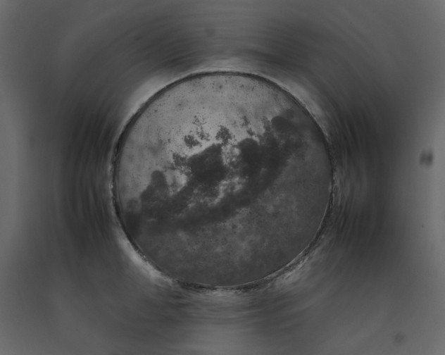 X0000092220998200710051154