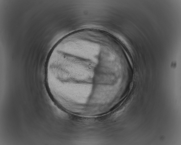 X0000092220999200710051154