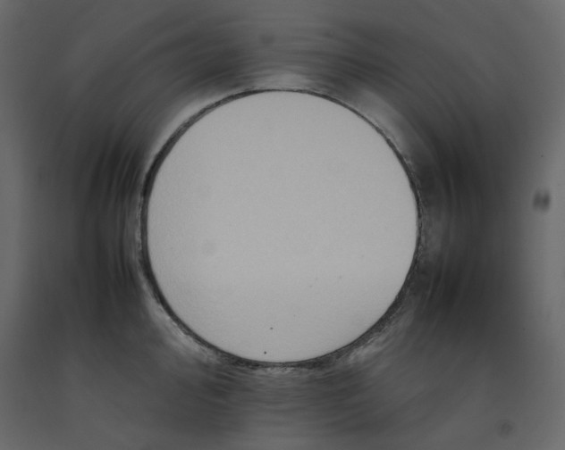 X0000092221000200710051154