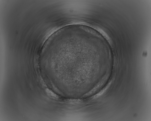 X0000092221001200710051154