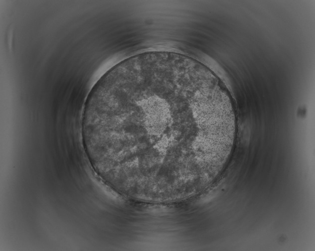 X0000092221002200710051154