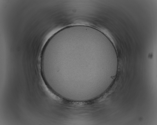 X0000092221003200710051154