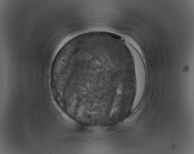 X0000092221005200710051154