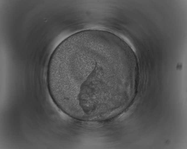 X0000092221007200710051154