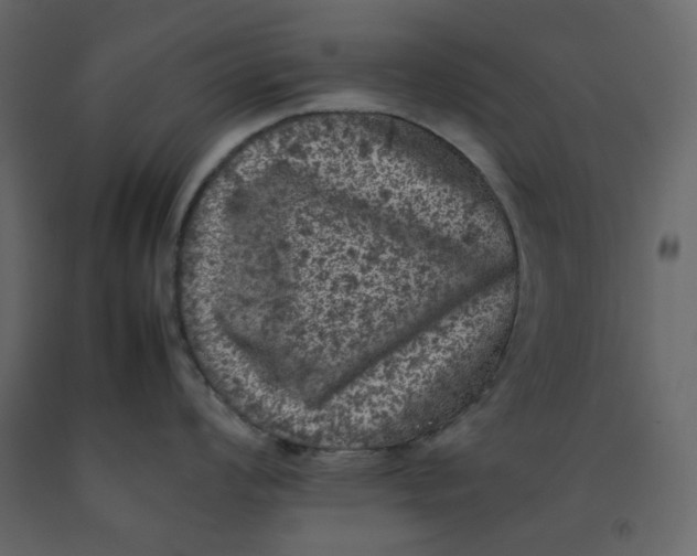 X0000092221008200710051154