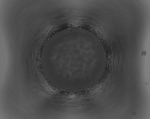 X0000092221009200710051153